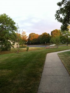 Morning Runs
