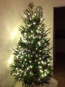 O’ Christmas Tree