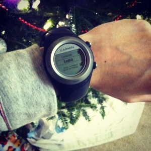 Garmin 405