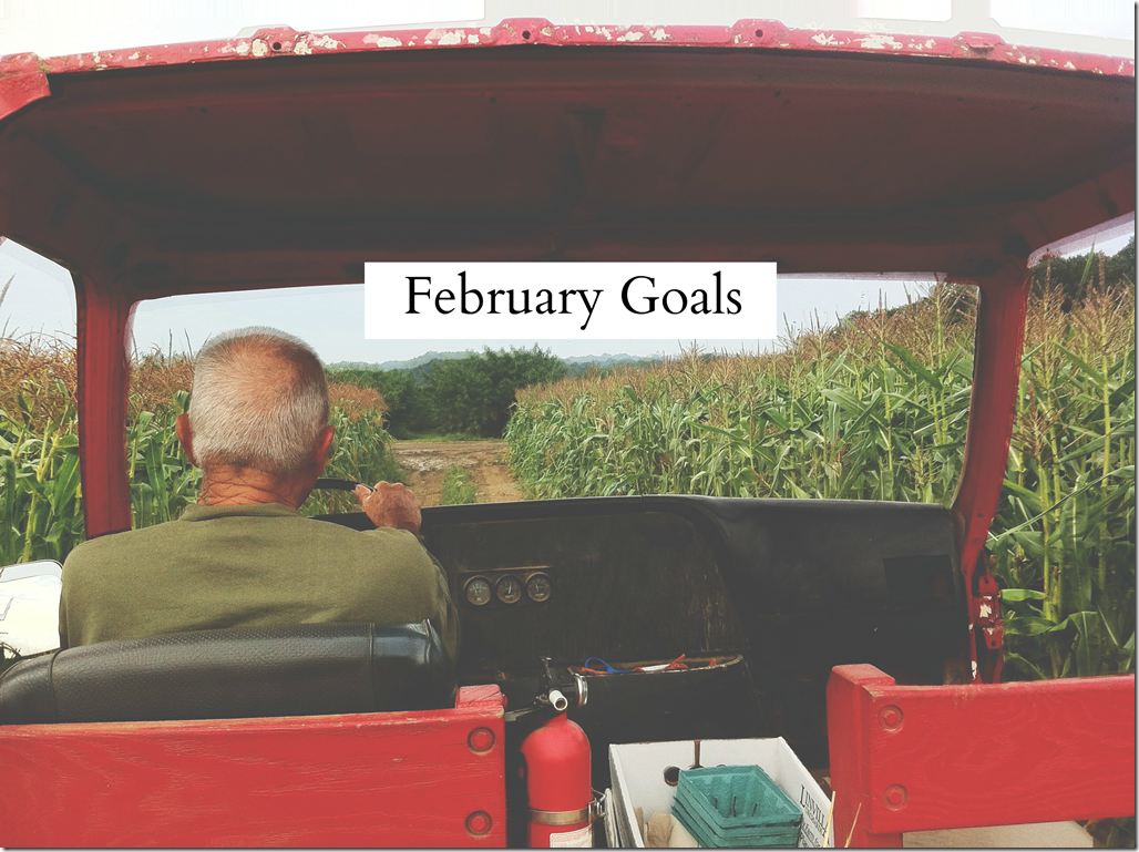 feb goals