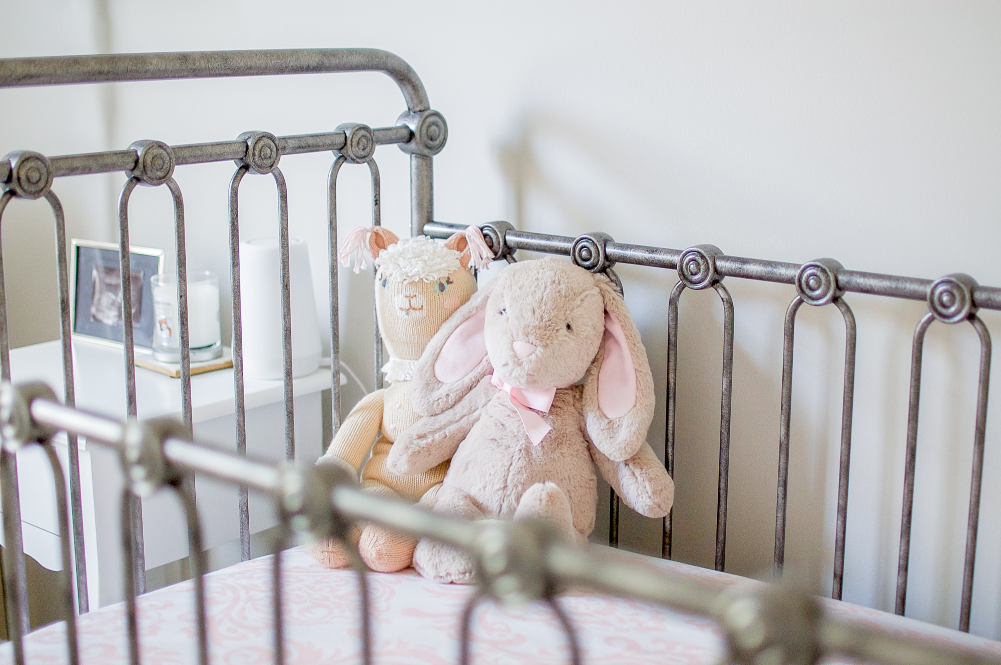 Vienna's Nursery Reveal